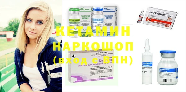 стаф Алексин