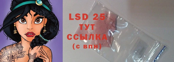 стаф Алексин