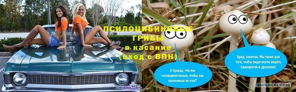 стаф Алексин